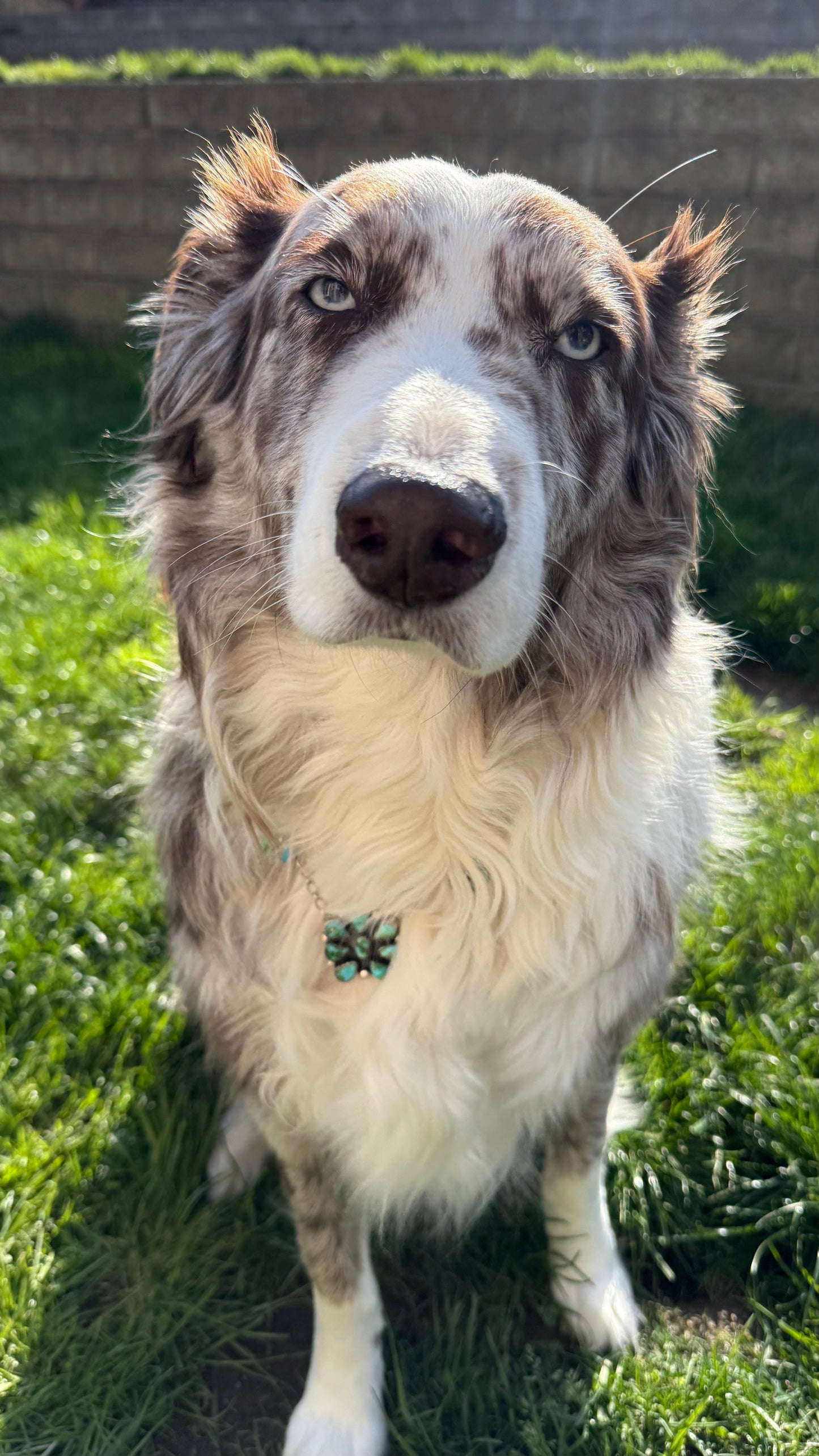 Sonoran Mountain Cluster Necklace