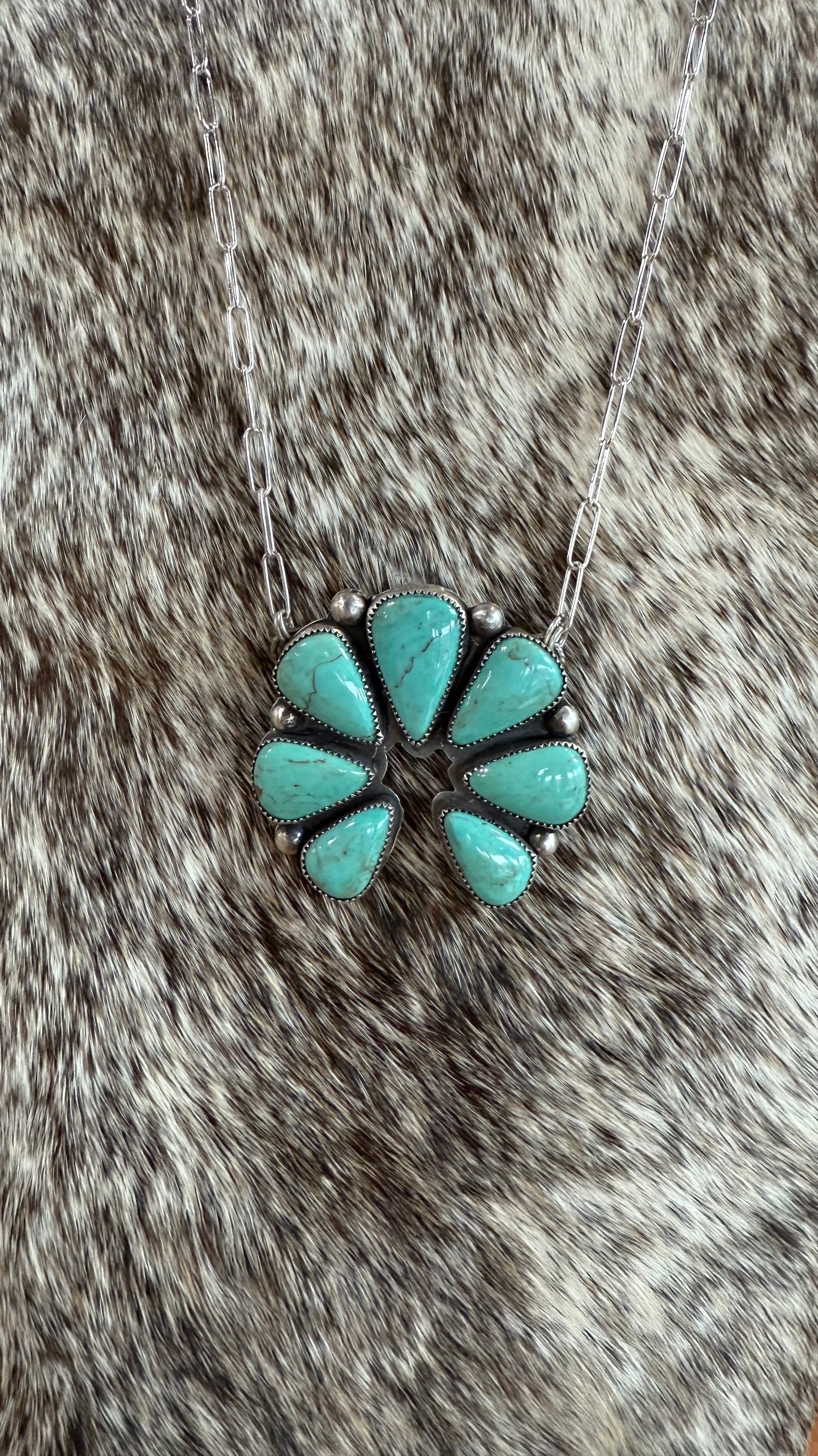 Sonoran gold cluster